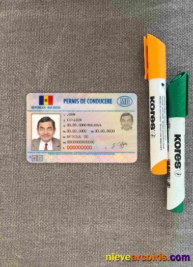 Moldova driving license photolook